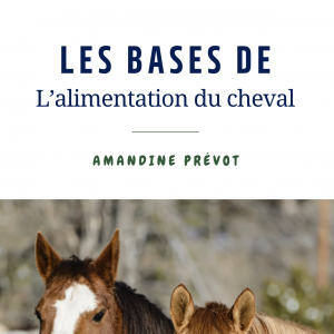 Tout savoir sur l'alimentation du cheval