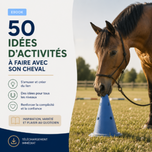 50 idées d'activités à faire avec son cheval