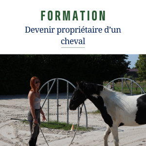 Formation devenir propriétaire d'un cheval